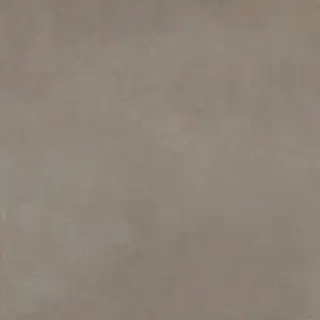 Easy Life Grey Salt Silk Matte 120x120