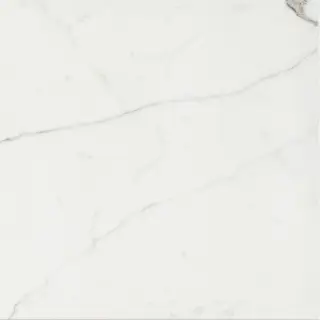 Timeless Calacatta Nat 60x60