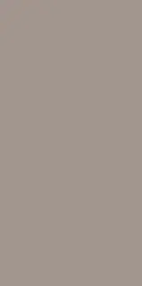 Monotone Dust 60x120