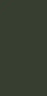 Monotone Olive 60x120