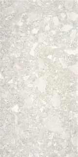 CEPPO DI GRÉ LIGHT GREY MT 60X120