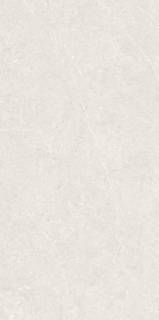 BERGSTEIN LIGHT MATT 60X120 Artech