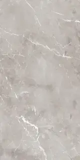 Керамогранит EPOQUE GREY RET 60X120