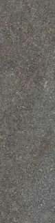 Керамогранит NATIVE FOREST RET  30X120