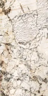Керамогранит NOBILE BLANC DU BLANC LUX+ 60x120