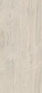 Керамогранит NAVONA BONE VEIN RET 120X280