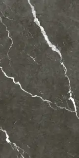 Coliseum Michelangelo Керамогранит Dark 60x120 натуральный