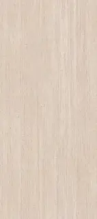 PORCELANOSA XLIGHT TARANTO BONE TEXTURE 01 120х270 G-2711