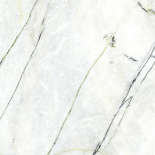 CALACATTA GREEN SILK PV6 120X120(A)