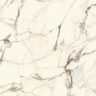 CALACATTA GOLD POL.PV6 120X120(A)