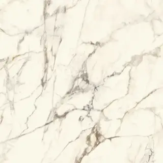 CALACATTA GOLD NAT.PV6 120X120(A)