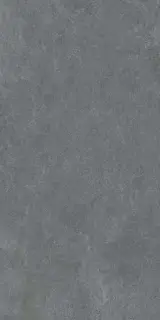 Posh Coal 60x120