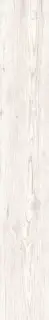Soft White ZZ 15x100