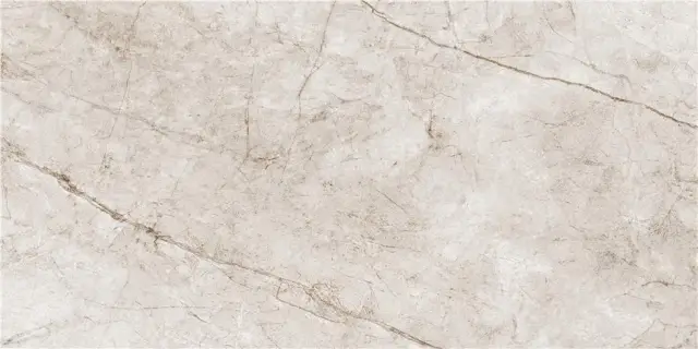 RAIN FOREST WHITE MT 60X120