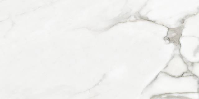 VENATO NATURAL POLISHED 60X120