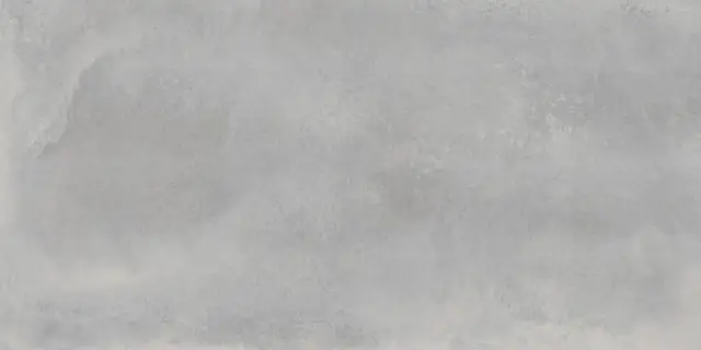 Астро Сильвер 60x120