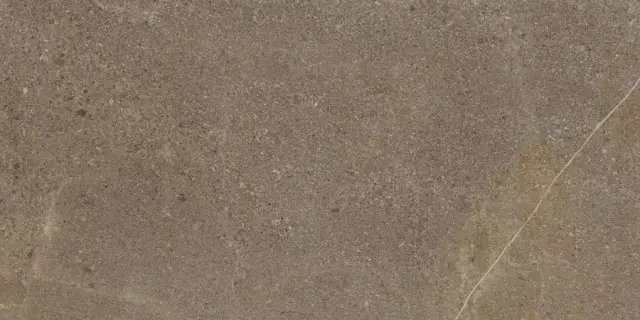 Контемпора Бёрн Пат 60x120