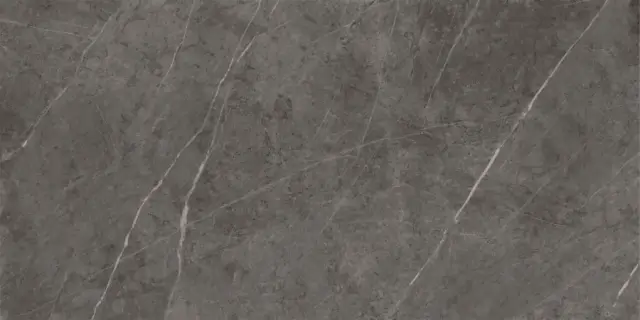 Шарм Эво Антрачит Люкс 60x120