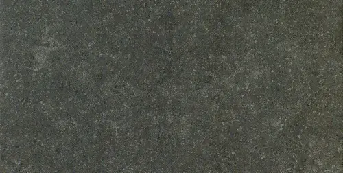 Аурис Блэк Реt 30x60