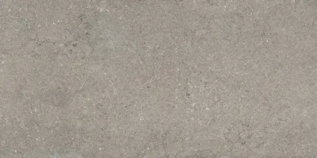 Дискавер Грэй 60x120