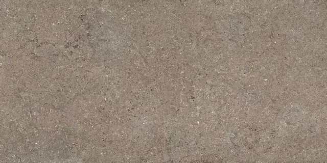 Дискавер Дезерт 60x120