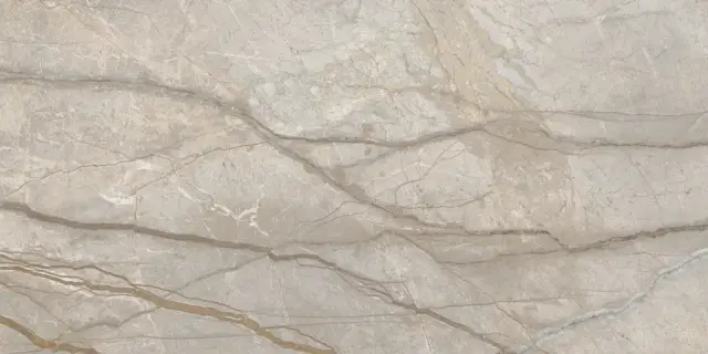 Стеллариус Элег.Сильвер Шлиф 60x120