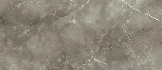 Стеллариус Тусканиа Грэй 120x278