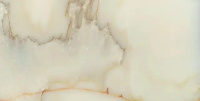 Bijoux Onyx Blanche Glossy 6mm 60x120