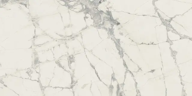 Prexious Rex Mountain Treasure Glo 30x60
