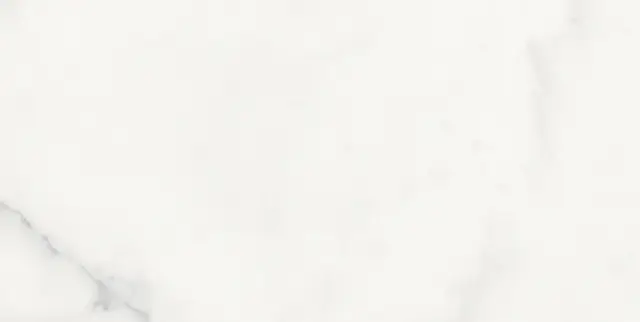 Origines De Rex Blanc Matte 30x60