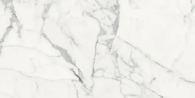 Origines De Rex Blanc Matte 60x120