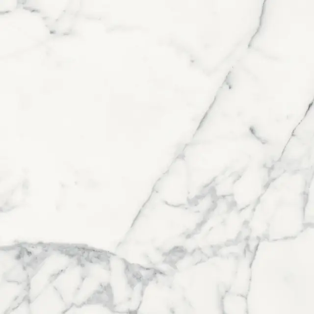 Origines De Rex Blanc Matte 60x60