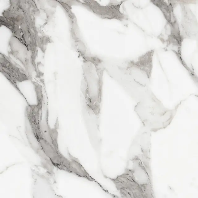 Origines De Rex Argent Glossy 60x60