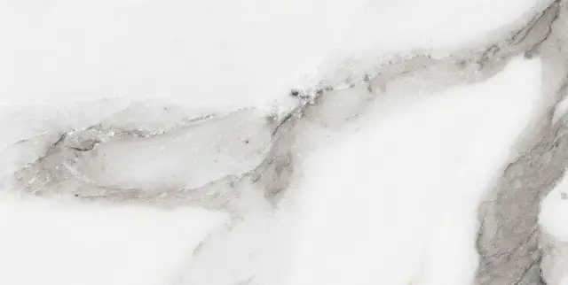 Origines De Rex Argent Glossy 30x60
