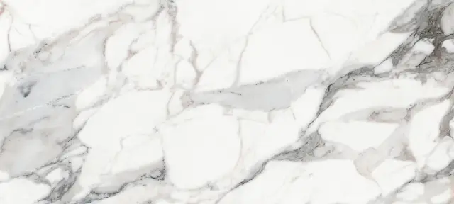 Origines De Rex Argent Matte 80x180