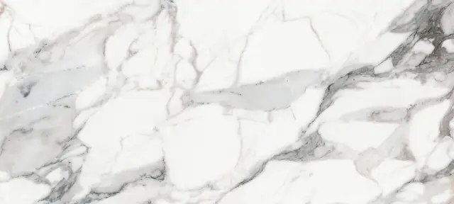 Origines De Rex Argent Glossy 80x180