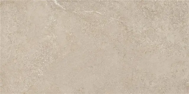 Arenite Natural Matt. 60x120