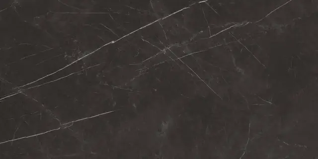 ФДМ Элегант Б. 60x120 Чер