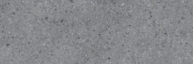 I Naturali Ceppo Di Brecc Grig Bocc 5 Mm 100x300