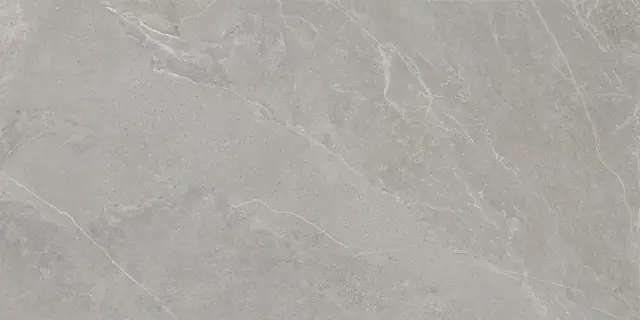 Ардэстоун Серый Матовый R10a 60x120