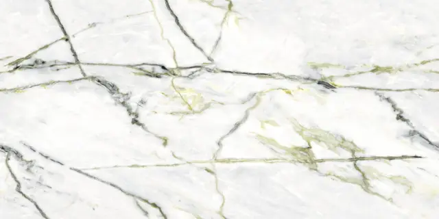 Calacatta Green (Book) Polished 60x120