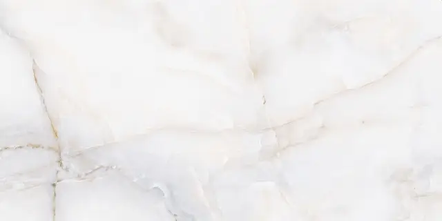 Onix White Polished 60x120