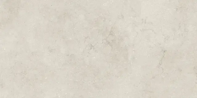 Eden Light Satin 60x120