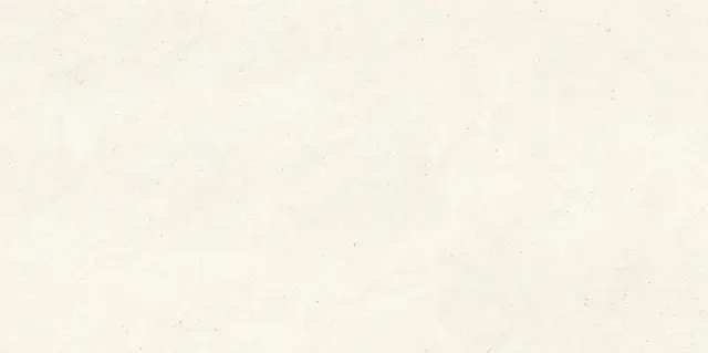 Bera White Lane Ductile 60x120
