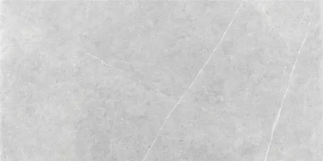NORTHON LIGHT GREY MT 60X120 RECT.