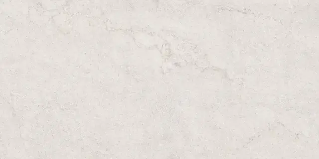 Керамогранит RIBERA BLANCO 60X120 R 10 мм