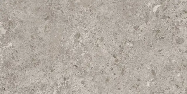 BIERZO GRIS SEDA  60X120