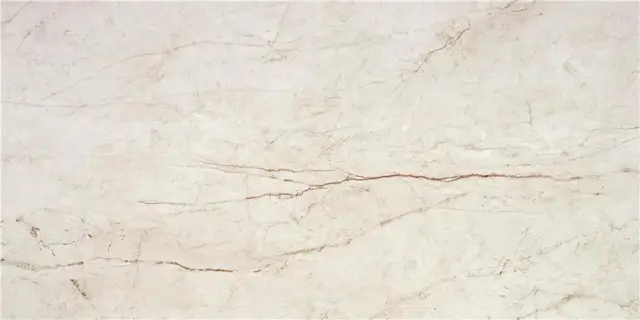 RAIN FOREST WHITE ( PULIDO) 59X119 RECT.