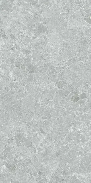 Керамогранит 3ДБ Харизма серый матовый ретифицированный / P.E. 3DB Charisma grey mt 60X120 rect