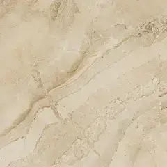 Bone